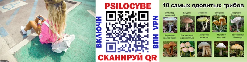 Псилоцибиновые грибы Cubensis Камешково